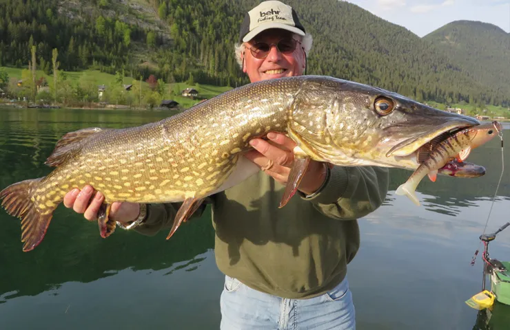 Fischer steht an einem See und hält einen großen Fisch in den Händen.