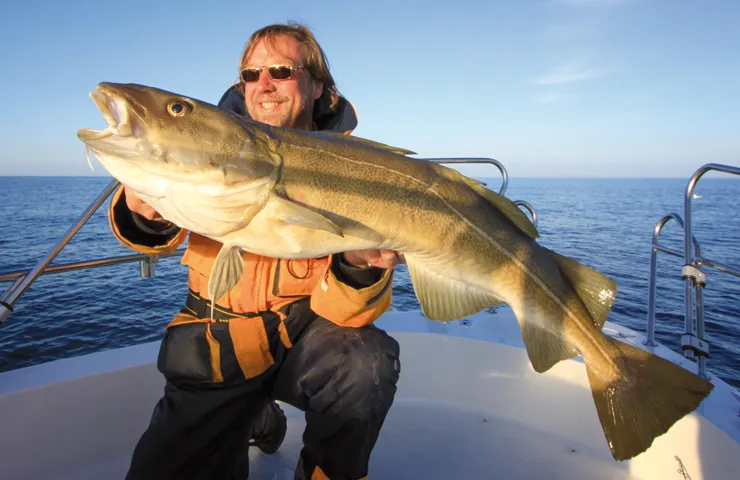 Angler auf einem Boot präsentiert einen großen Fisch.